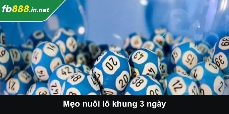 Mẹo Nuôi Lô Khung 3 Ngày - Hướng Dẫn Dễ Hiểu, Hiệu Quả